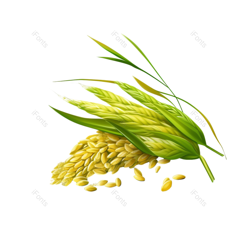 装饰图片,芒种元素,元素PNG,小满免抠素材